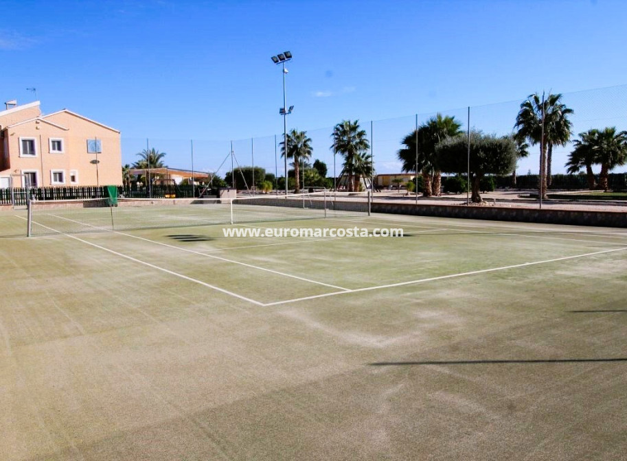 Venta - Finca - Elche Pedanías - Elche/Elx