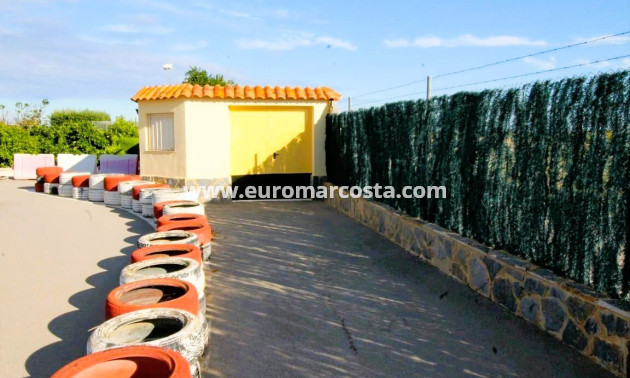 Venta - Finca - Elche Pedanías - Elche/Elx