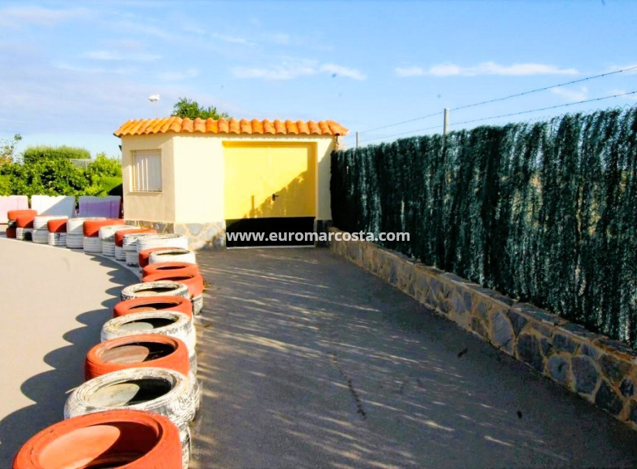 Venta - Finca - Elche Pedanías - Elche/Elx