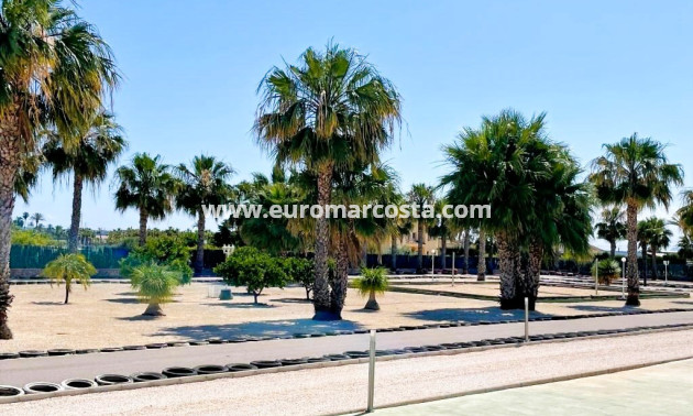 Venta - Finca - Elche Pedanías - Elche/Elx