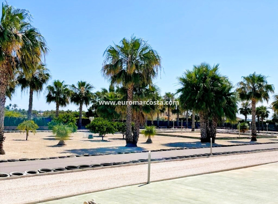 Venta - Finca - Elche Pedanías - Elche/Elx