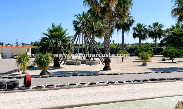 Venta - Finca - Elche Pedanías - Elche/Elx