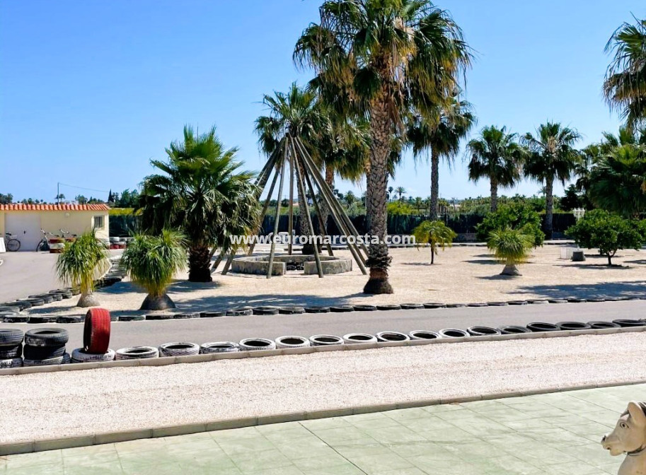 Venta - Finca - Elche Pedanías - Elche/Elx