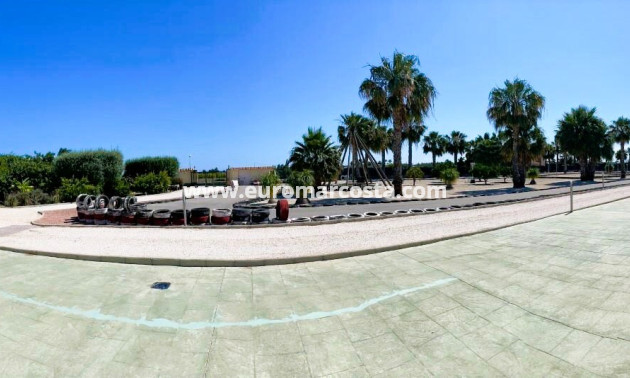Venta - Finca - Elche Pedanías - Elche/Elx