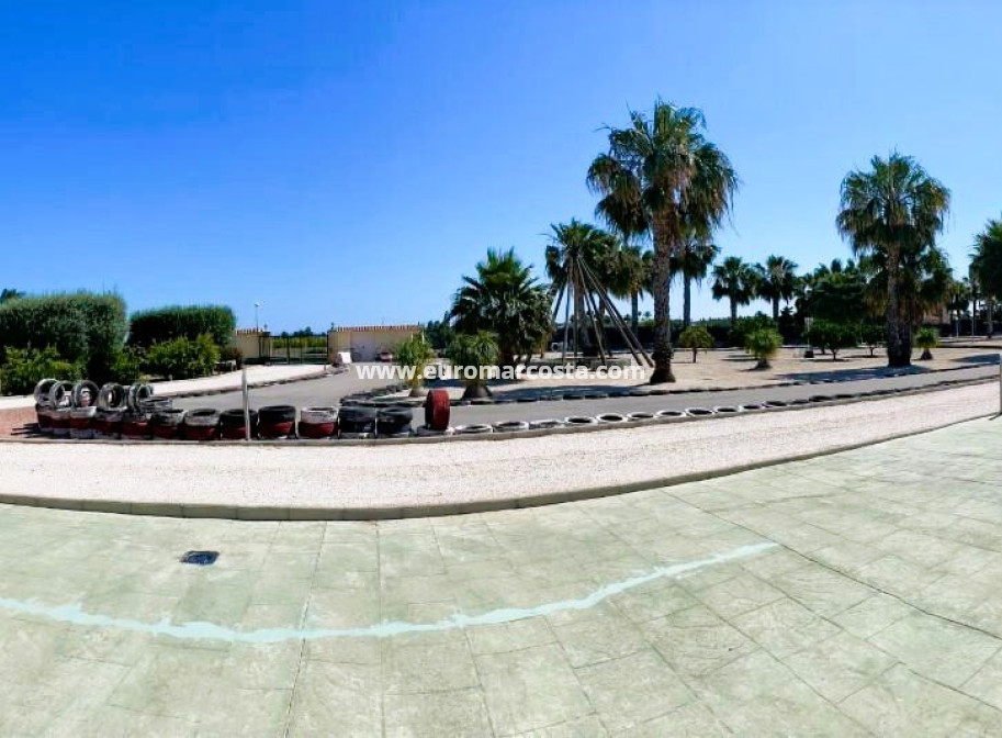 Venta - Finca - Elche Pedanías - Elche/Elx
