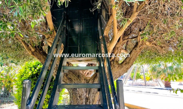 Venta - Finca - Elche Pedanías - Elche/Elx