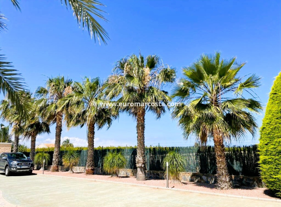 Venta - Finca - Elche Pedanías - Elche/Elx