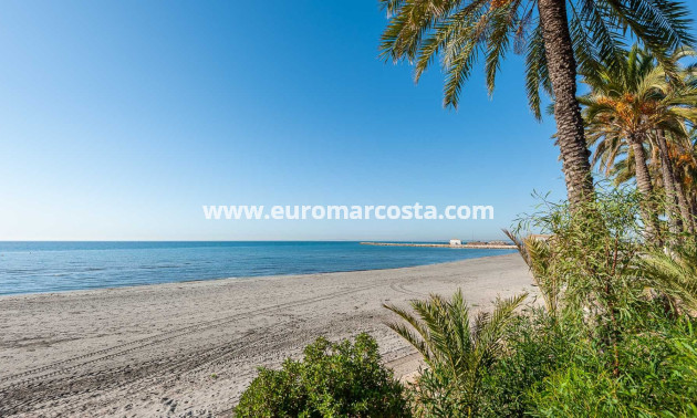 Venta - Finca - Elche Pedanías - Elche/Elx