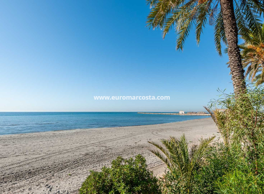 Venta - Finca - Elche Pedanías - Elche/Elx