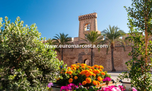 Venta - Finca - Elche Pedanías - Elche/Elx