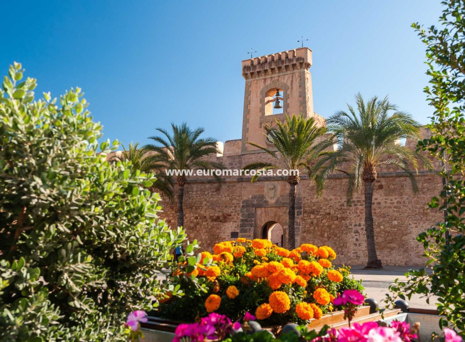 Venta - Finca - Elche Pedanías - Elche/Elx