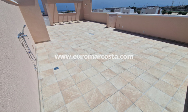 Nueva construcción  - low-bungalow - Pilar de la Horadada