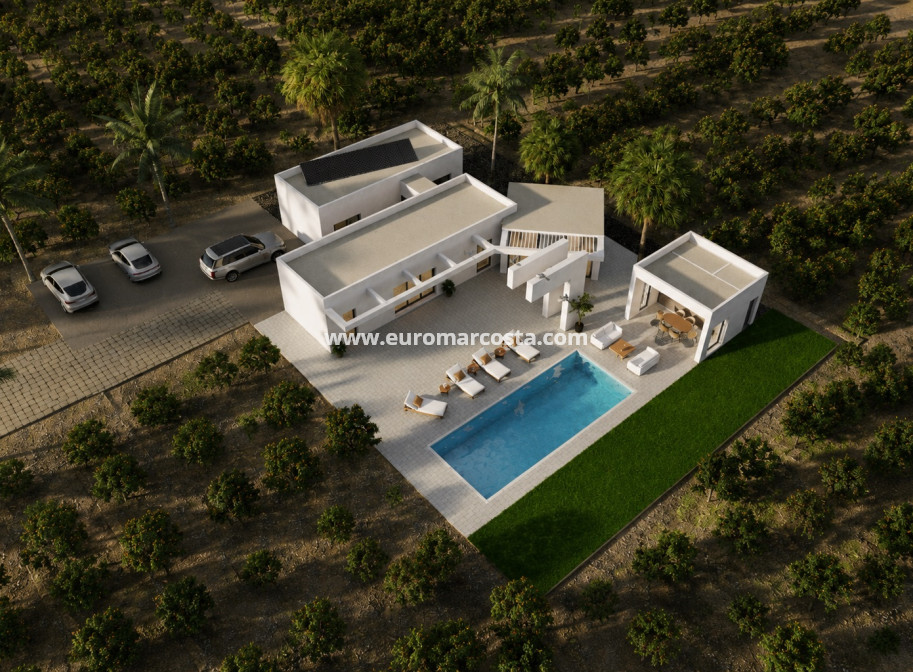 Nueva construcción  - detached - Benejúzar