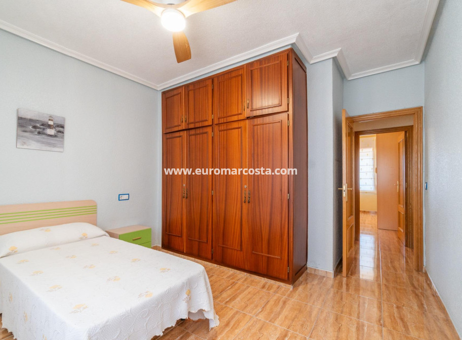 Venta - Casa - San Miguel de Salinas - Torremendo