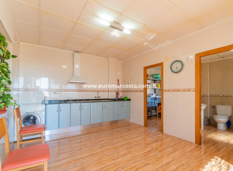 Venta - Casa - San Miguel de Salinas - Torremendo