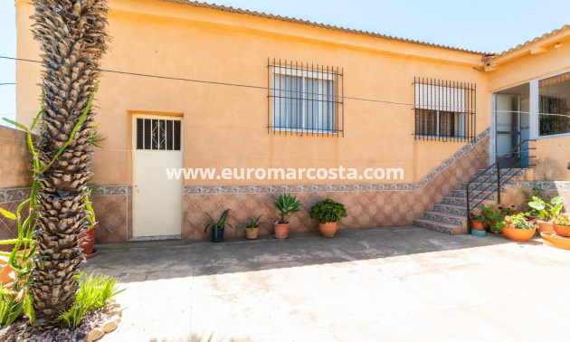 Venta - Casa - San Miguel de Salinas - Torremendo
