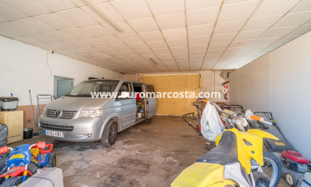 Venta - Casa - San Miguel de Salinas - Torremendo