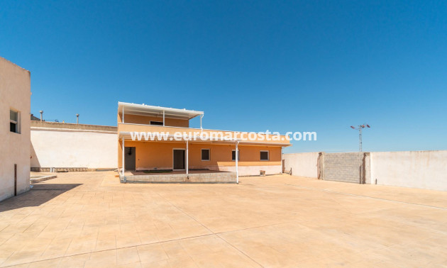 Venta - Casa - San Miguel de Salinas - Torremendo