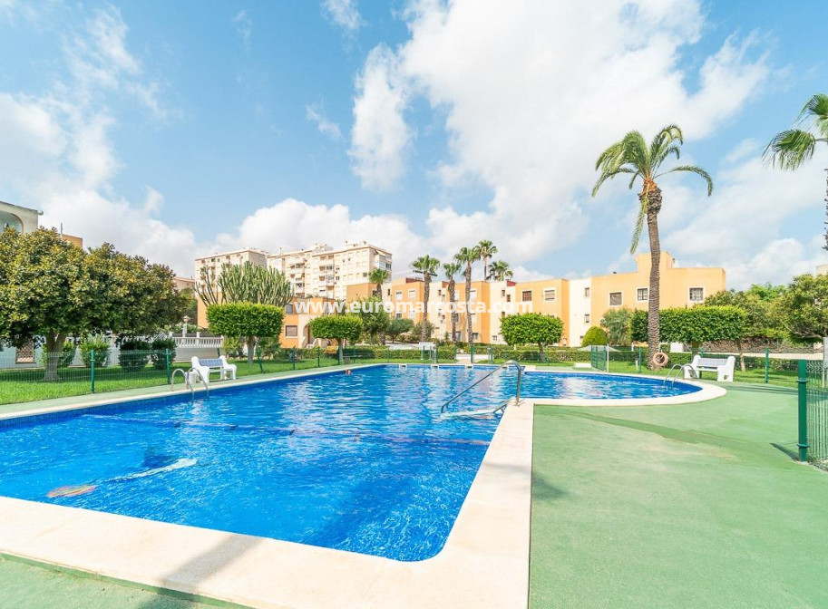 Venta - Apartamento / piso - Torrevieja - TORREVIEJA