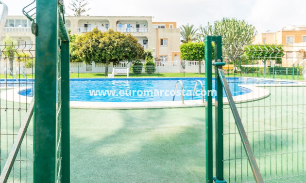 Venta - Apartamento / piso - Torrevieja - TORREVIEJA