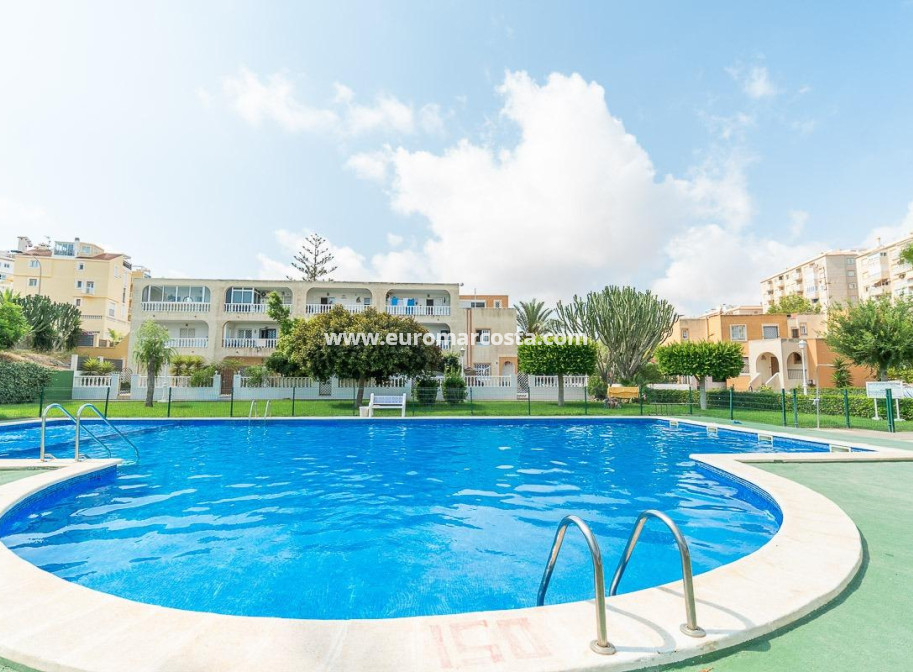 Venta - Apartamento / piso - Torrevieja - TORREVIEJA