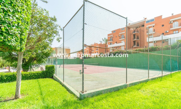 Venta - Apartamento / piso - Torrevieja - TORREVIEJA