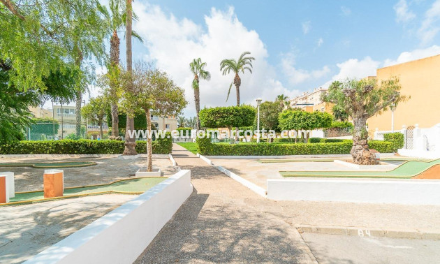 Venta - Apartamento / piso - Torrevieja - TORREVIEJA