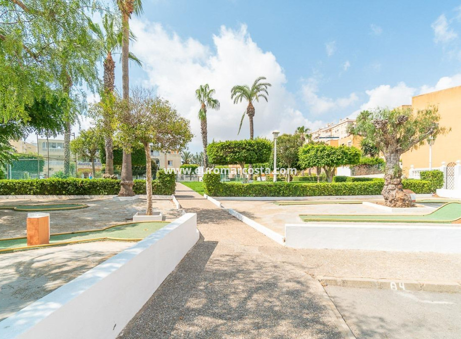 Venta - Apartamento / piso - Torrevieja - TORREVIEJA