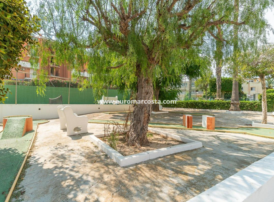 Venta - Apartamento / piso - Torrevieja - TORREVIEJA