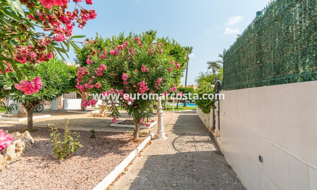 Venta - Apartamento / piso - Torrevieja - TORREVIEJA