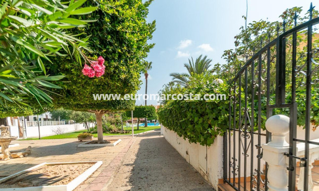 Venta - Apartamento / piso - Torrevieja - TORREVIEJA