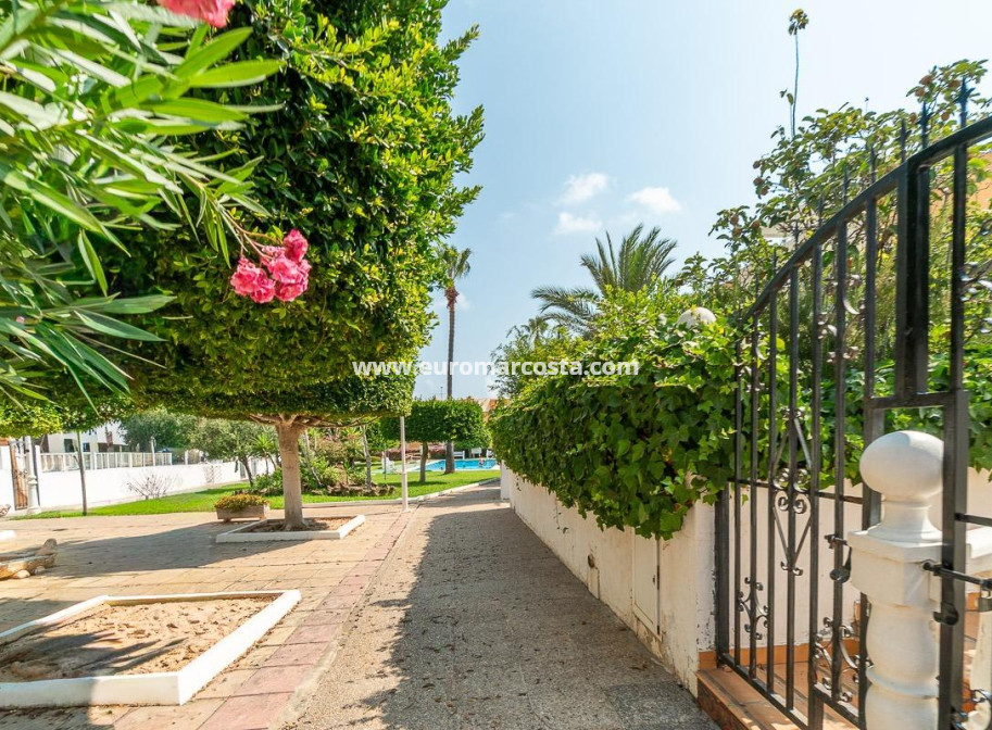 Venta - Apartamento / piso - Torrevieja - TORREVIEJA