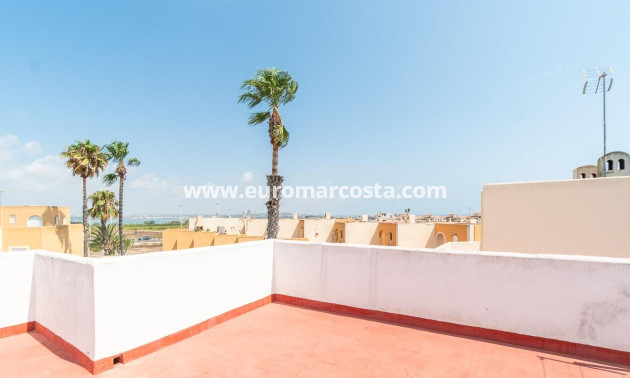 Venta - Apartamento / piso - Torrevieja - TORREVIEJA