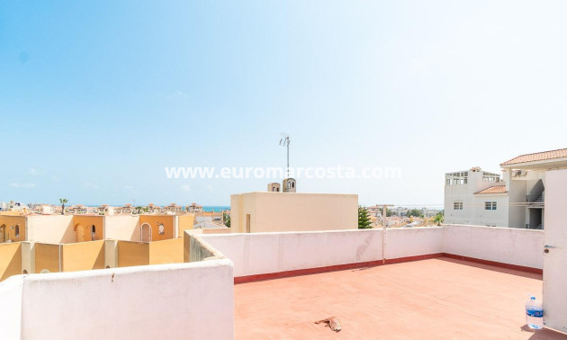 Venta - Apartamento / piso - Torrevieja - TORREVIEJA
