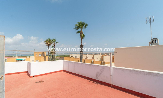Venta - Apartamento / piso - Torrevieja - TORREVIEJA