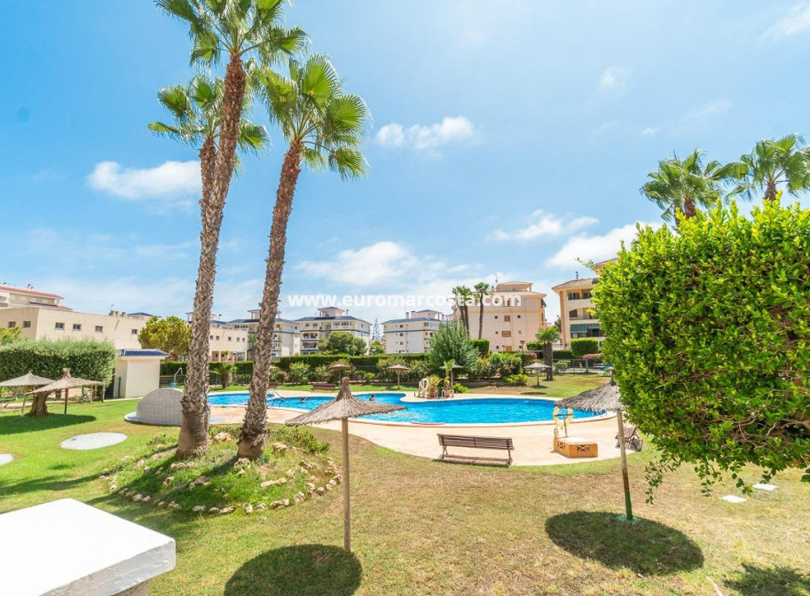 Alquiler a largo plazo - Apartamento / piso - Torrevieja - La Mata