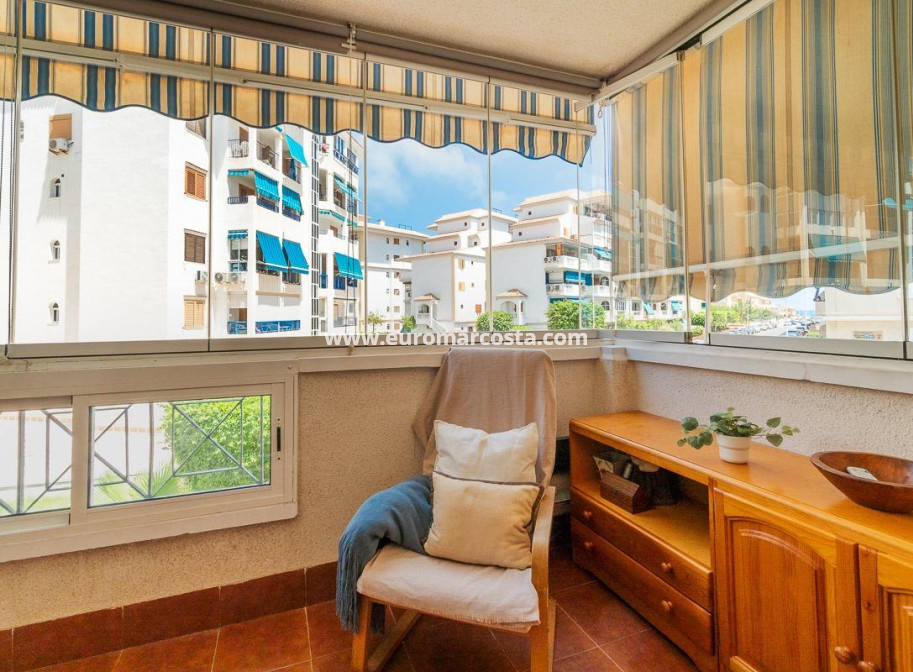 Alquiler a largo plazo - Apartamento / piso - Torrevieja - La Mata