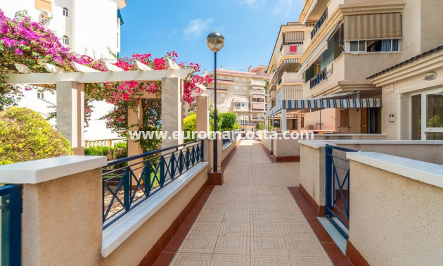 Alquiler a largo plazo - Apartamento / piso - Torrevieja - La Mata