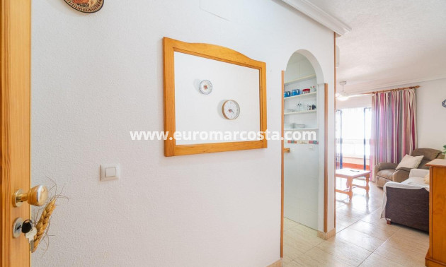 Alquiler a largo plazo - Apartamento / piso - Torrevieja - La Mata