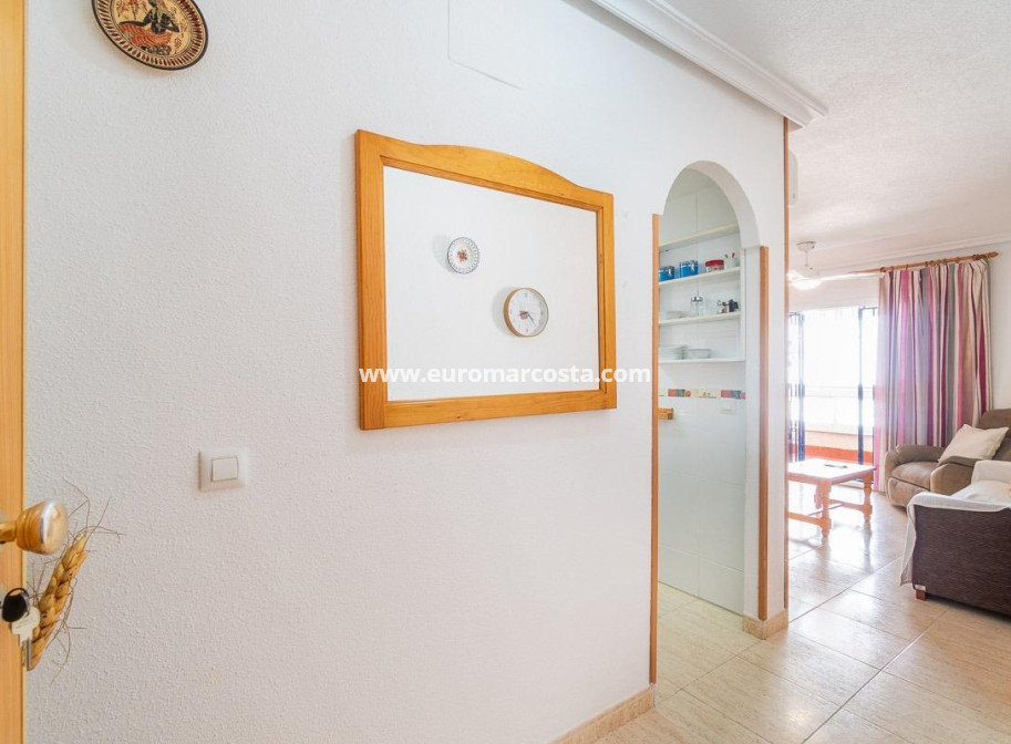 Alquiler a largo plazo - Apartamento / piso - Torrevieja - La Mata