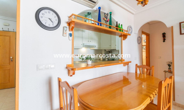 Alquiler a largo plazo - Apartamento / piso - Torrevieja - La Mata