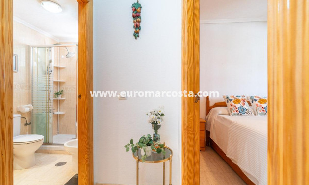 Alquiler a largo plazo - Apartamento / piso - Torrevieja - La Mata