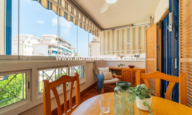 Alquiler a largo plazo - Apartamento / piso - Torrevieja - La Mata