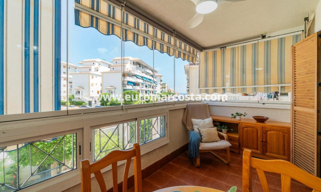 Alquiler a largo plazo - Apartamento / piso - Torrevieja - La Mata
