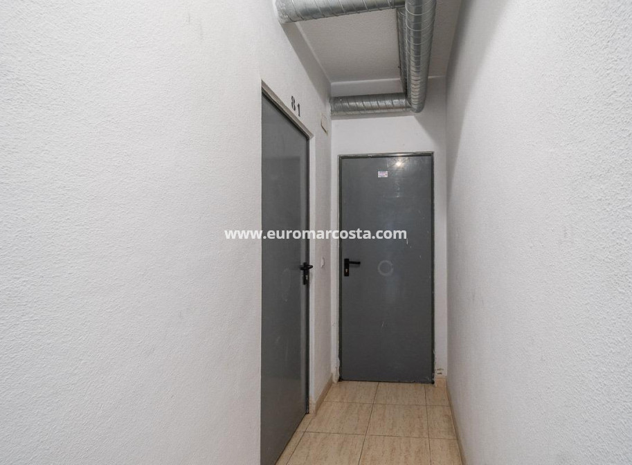Alquiler a largo plazo - Apartamento / piso - Torrevieja - La Mata