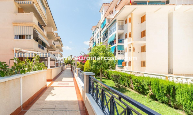 Alquiler a largo plazo - Apartamento / piso - Torrevieja - La Mata