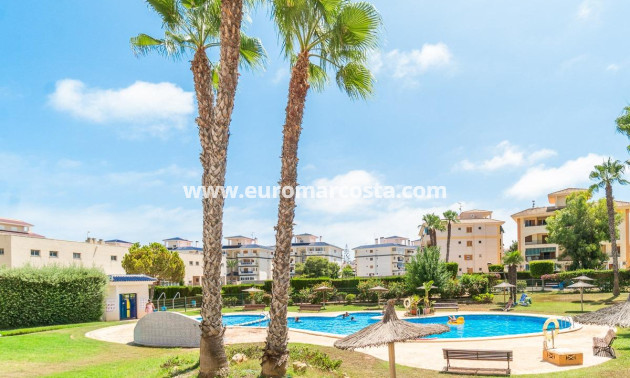 Alquiler a largo plazo - Apartamento / piso - Torrevieja - La Mata