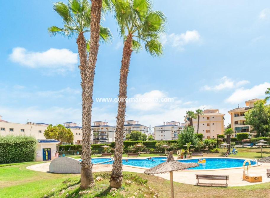Alquiler a largo plazo - Apartamento / piso - Torrevieja - La Mata