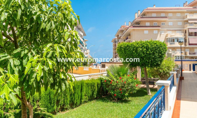 Alquiler a largo plazo - Apartamento / piso - Torrevieja - La Mata