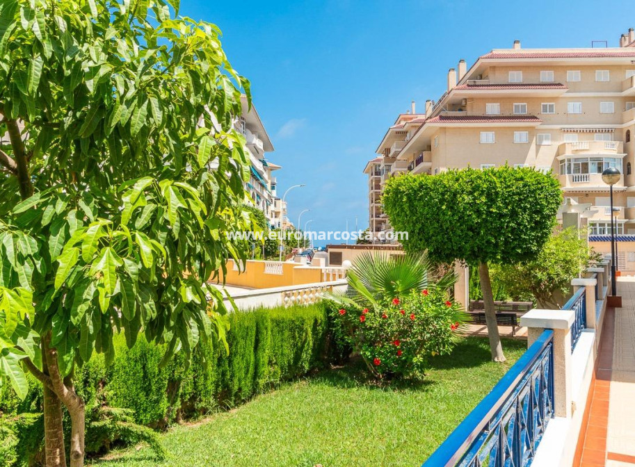 Alquiler a largo plazo - Apartamento / piso - Torrevieja - La Mata